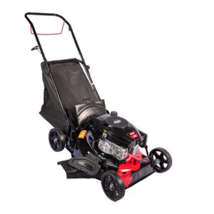 CORTADORA DE CÉSPED PETRI 4031 3EN1 4HP